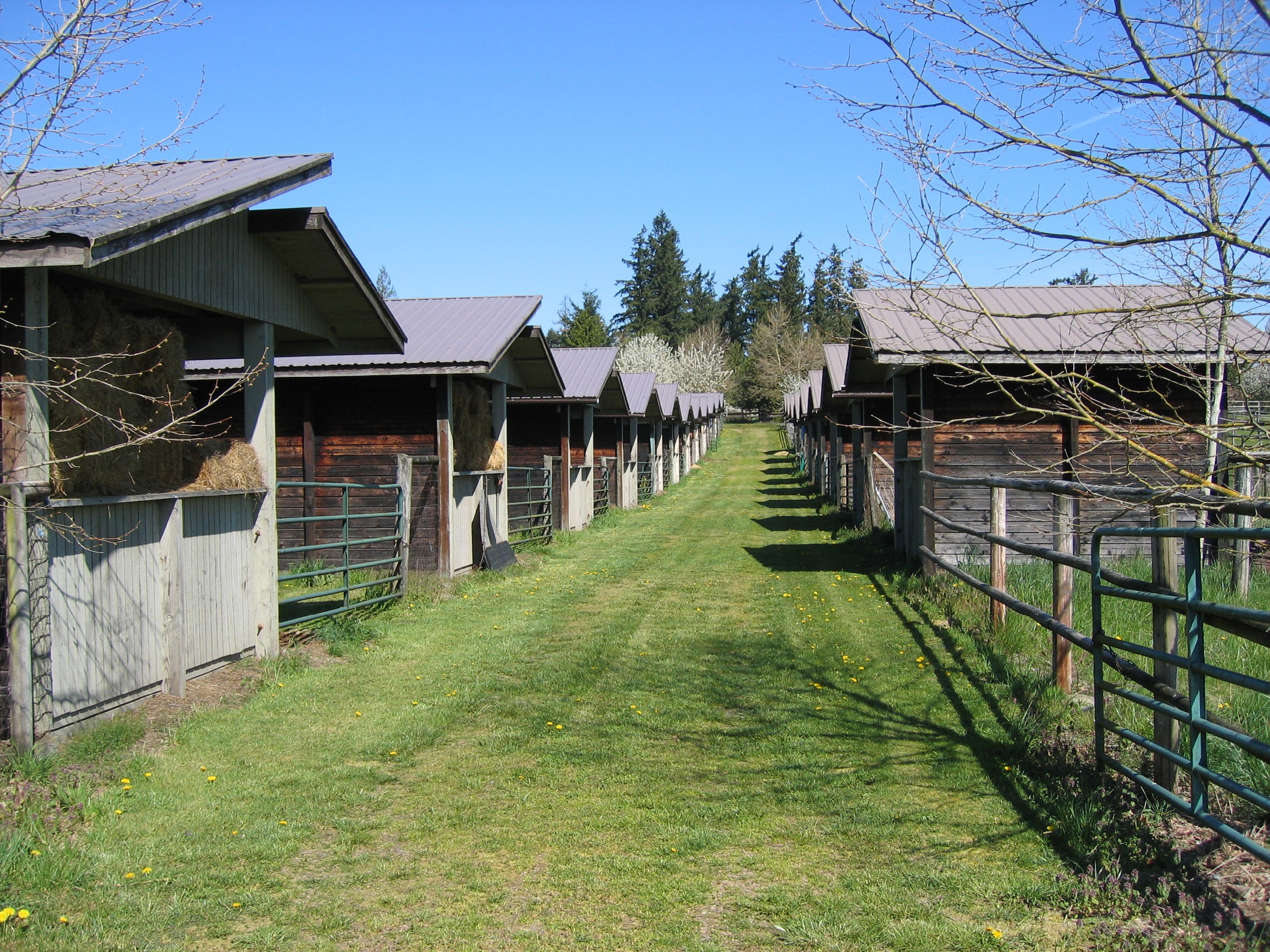 view of the dressage boarding facility
